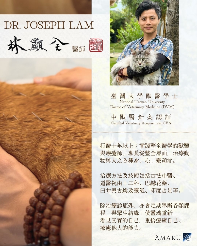 【保健治療組合】寵之整全健康服務