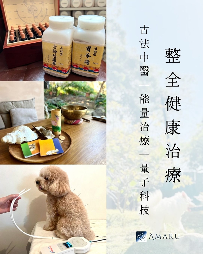 【積極治療組合】寵之整全健康服務