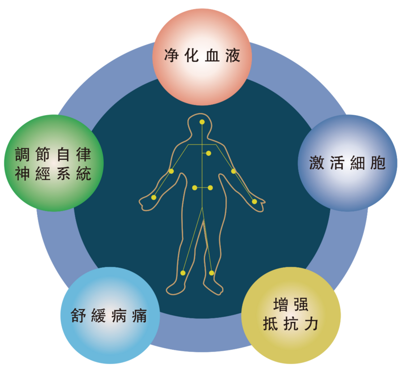 Energy5多能量理療儀