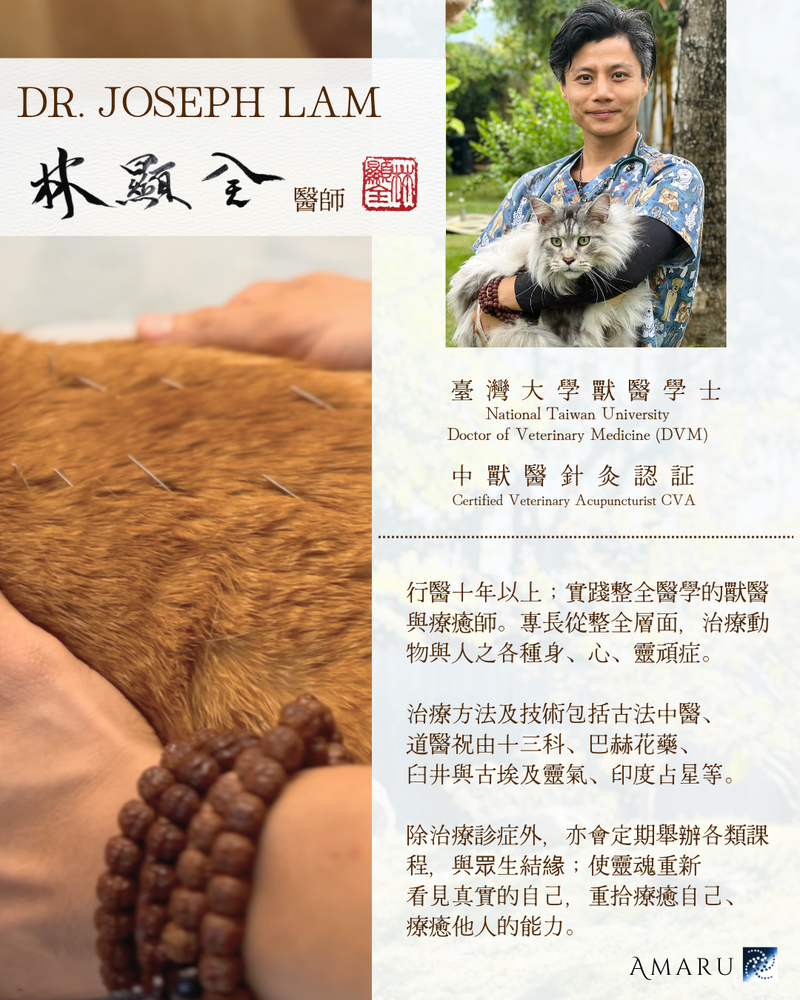 【積極治療組合】人之整全健康服務