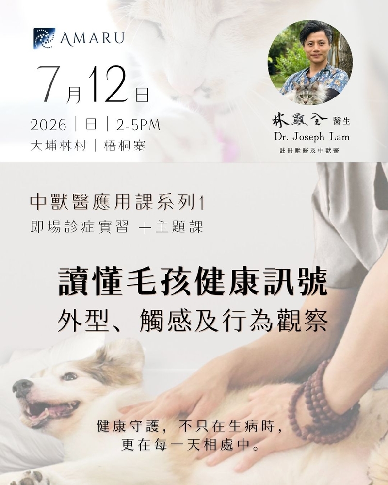 中獸醫應用課系列1 【讀懂毛孩健康訊息：外型、觸感及行為觀察】